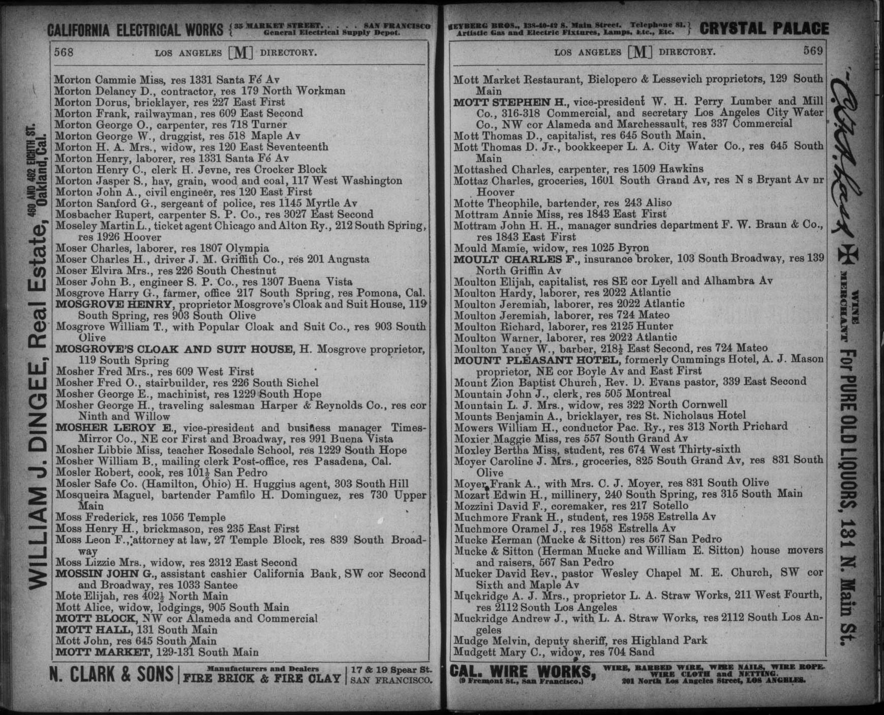 Document image missing. Admin needs to fix. 1893 Los Angeles City Directory p568. Mott Market.jpg