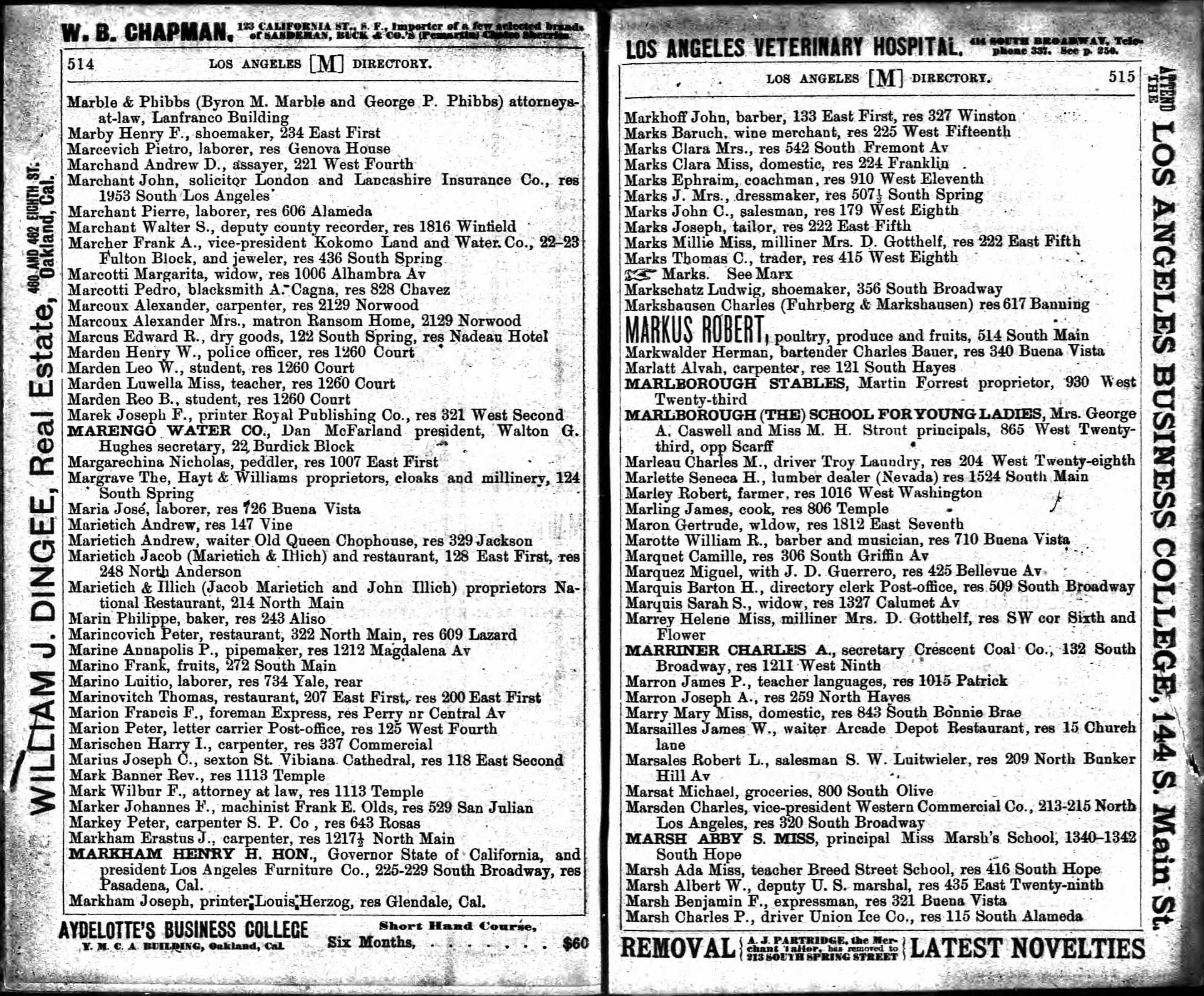 Document image missing. Admin needs to fix. 1893 Los Angeles City Directory p514. Marinovich, Marietich.jpg